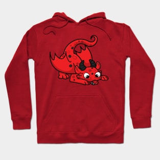 ladybug dragon Hoodie